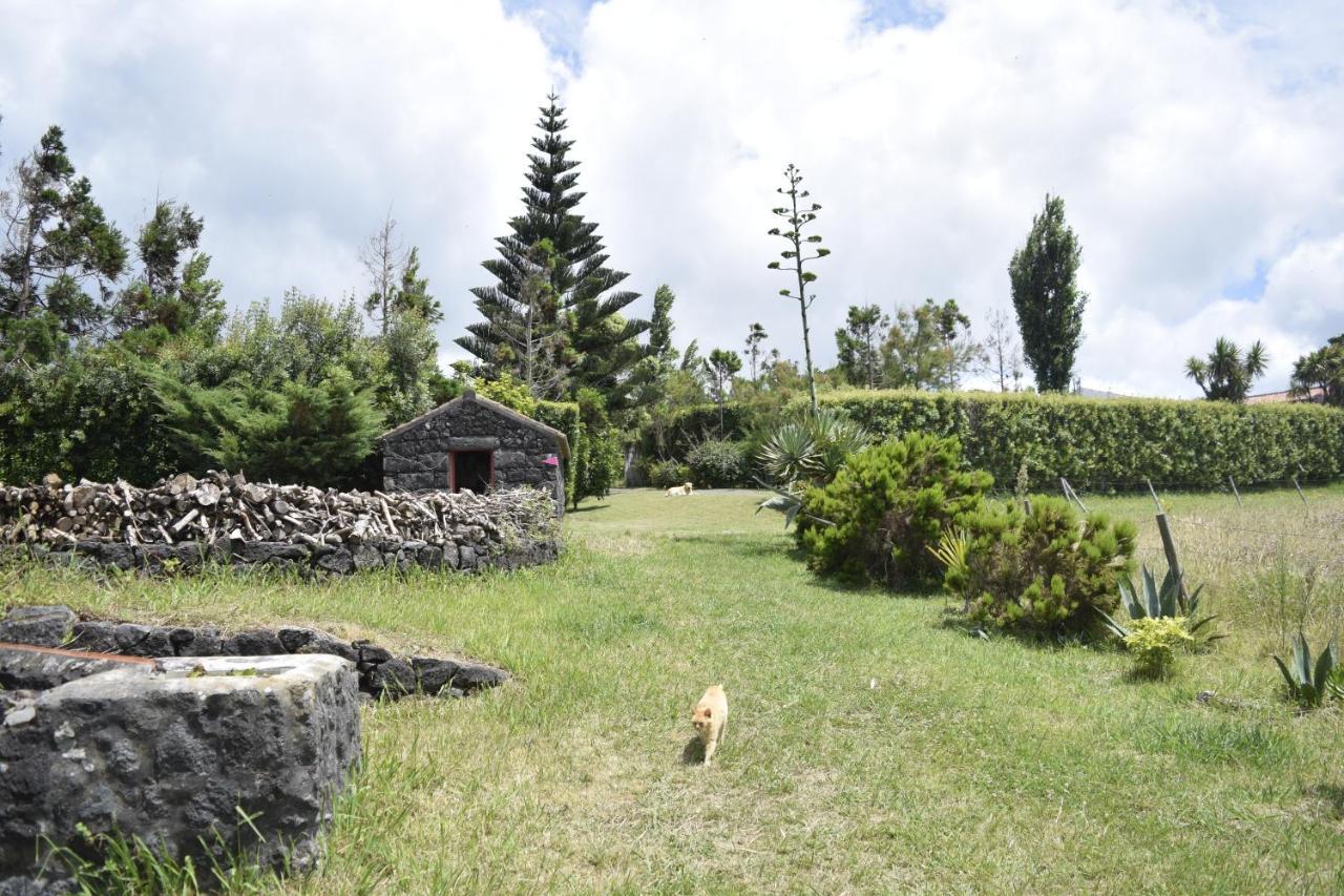 Quinta Da Meia Eira Castelo Branco  Esterno foto