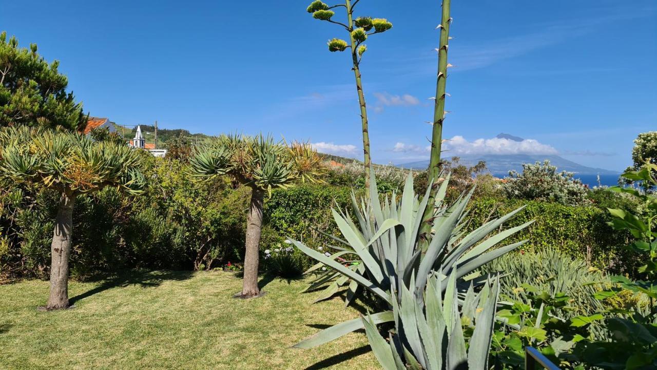 Quinta Da Meia Eira Castelo Branco  Esterno foto