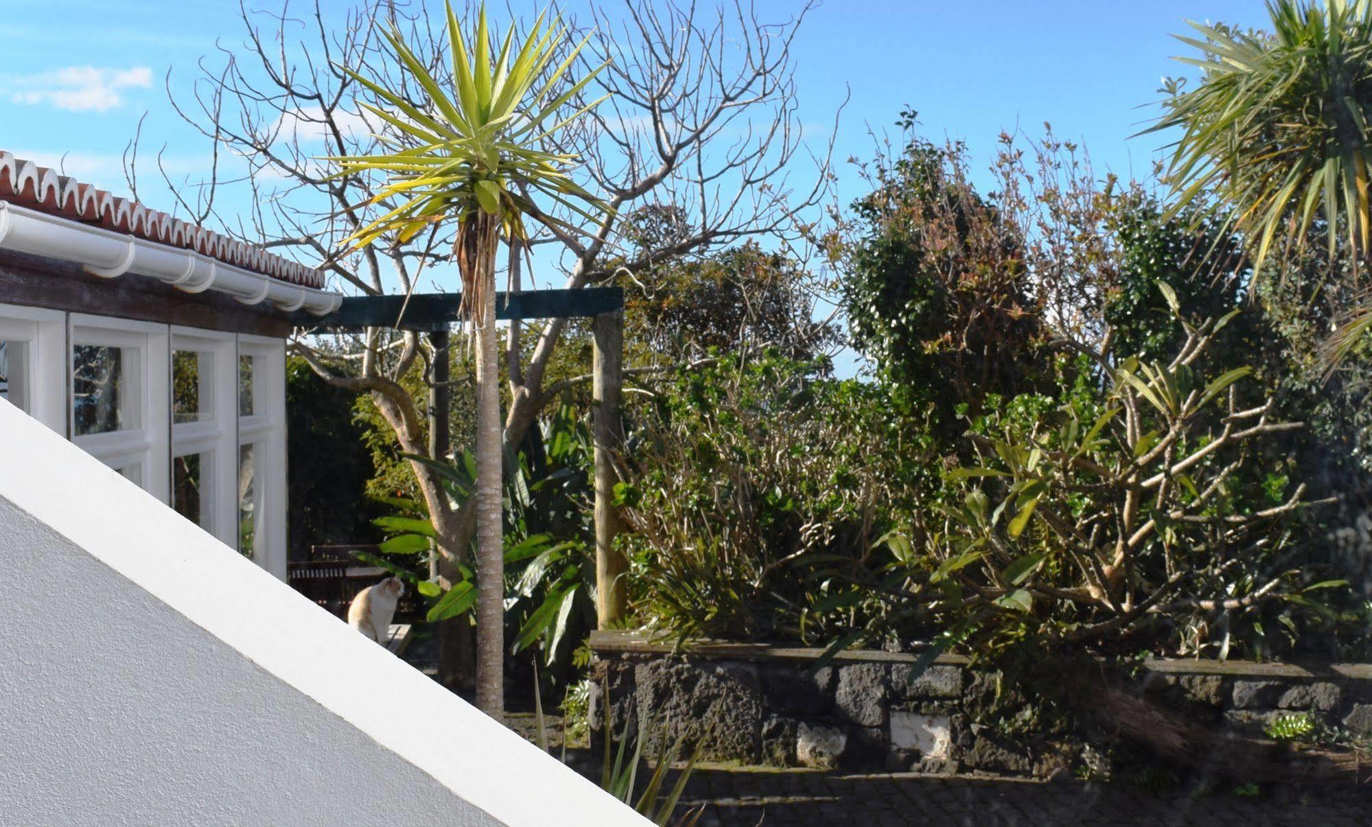 Quinta Da Meia Eira Castelo Branco  Esterno foto